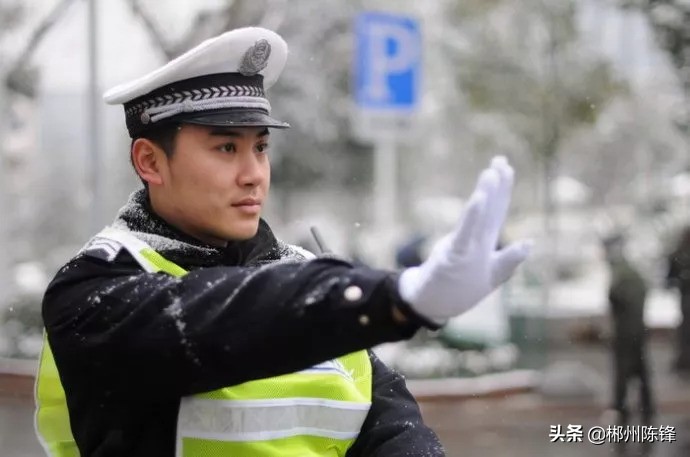 被眼镜蛇咬伤漳州老伯断指“保命”，医生：方法不可取, 你怎么看？：救助眼镜蛇反被咬伤