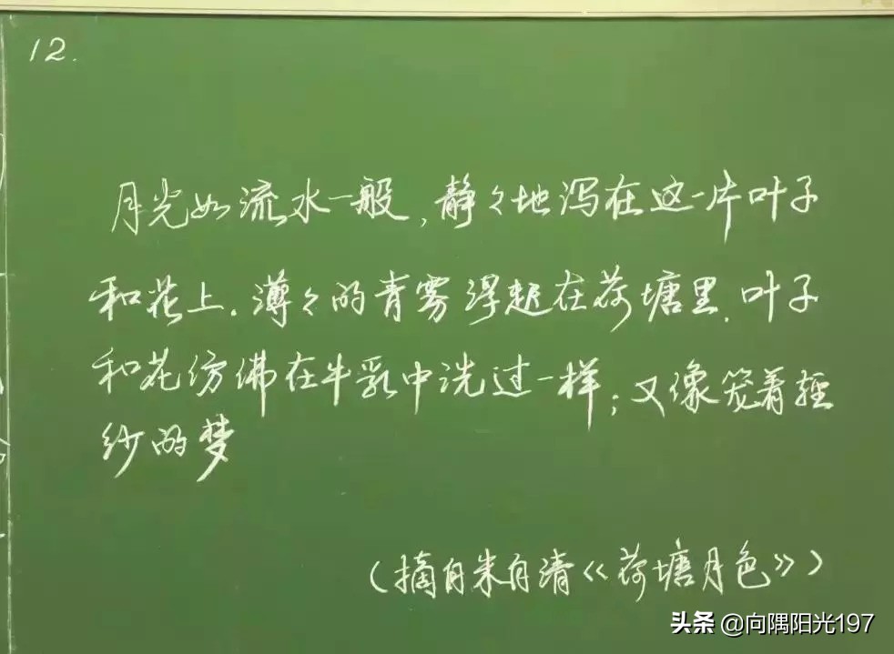 小学生学草书字体