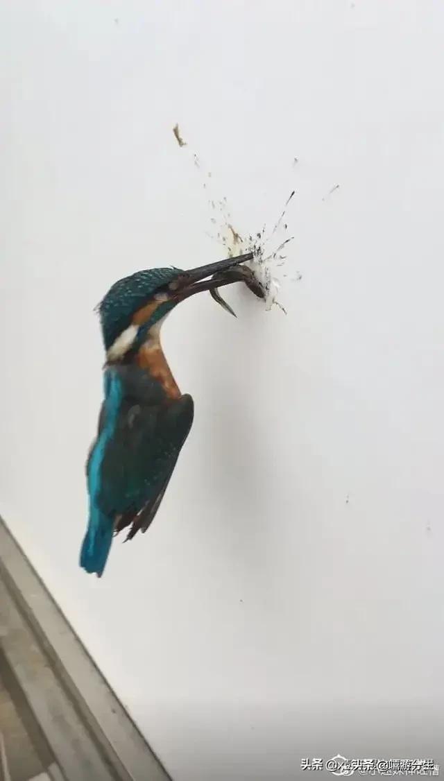 聊天化妆的技巧
