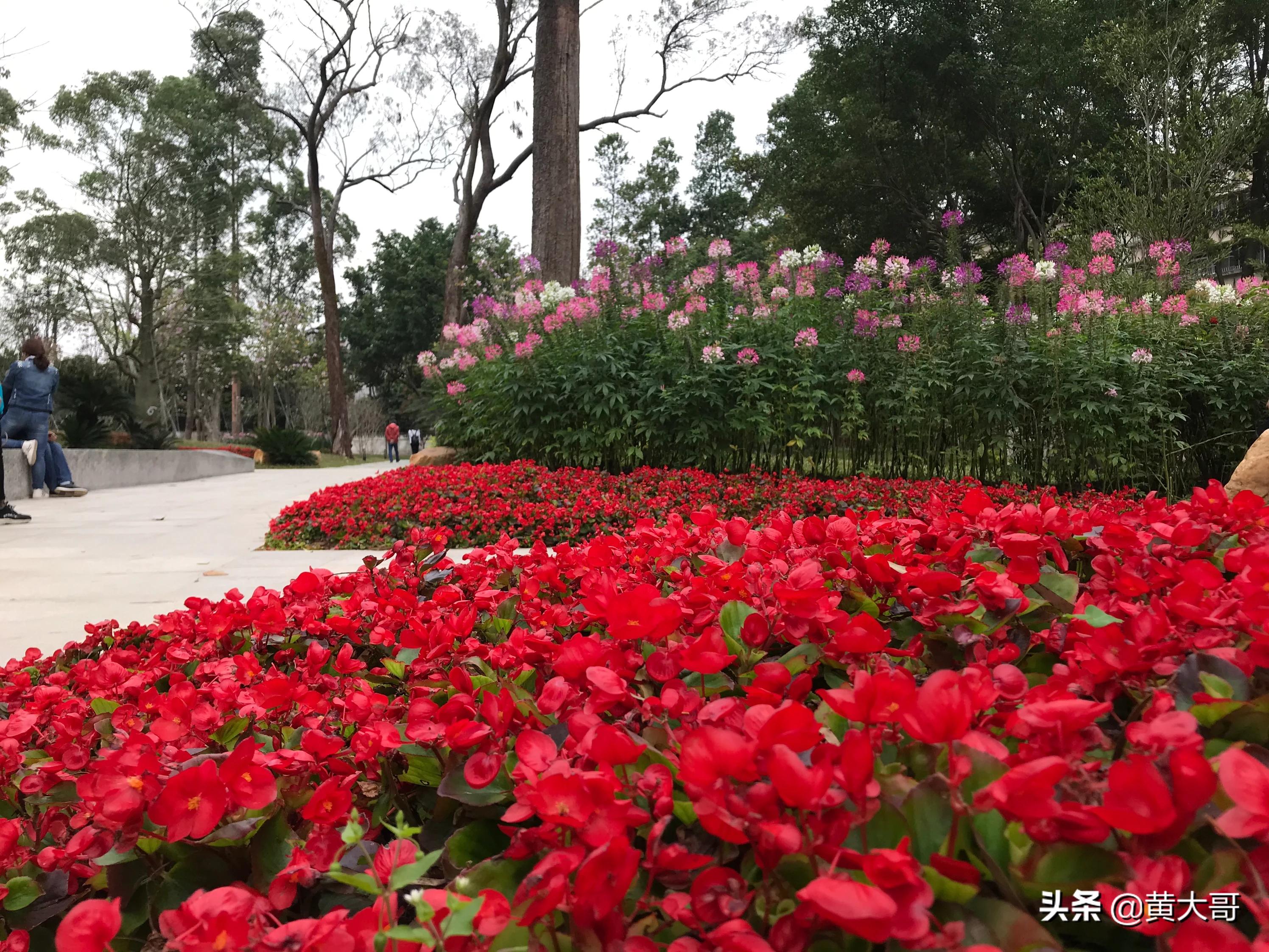 索尼6400（索尼a6400什么时候上市的？）