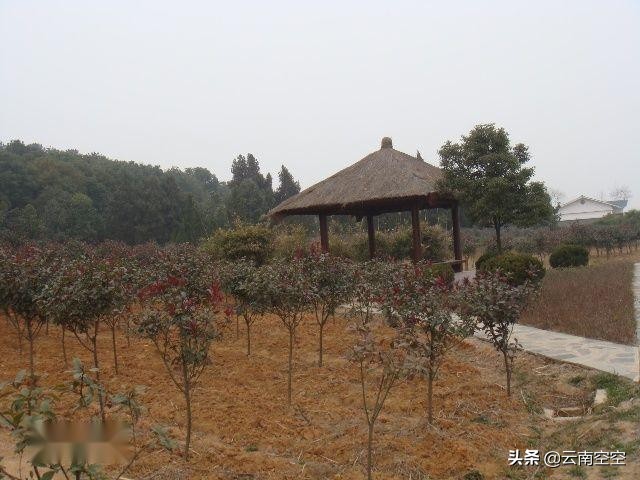 武汉市最好的公园？