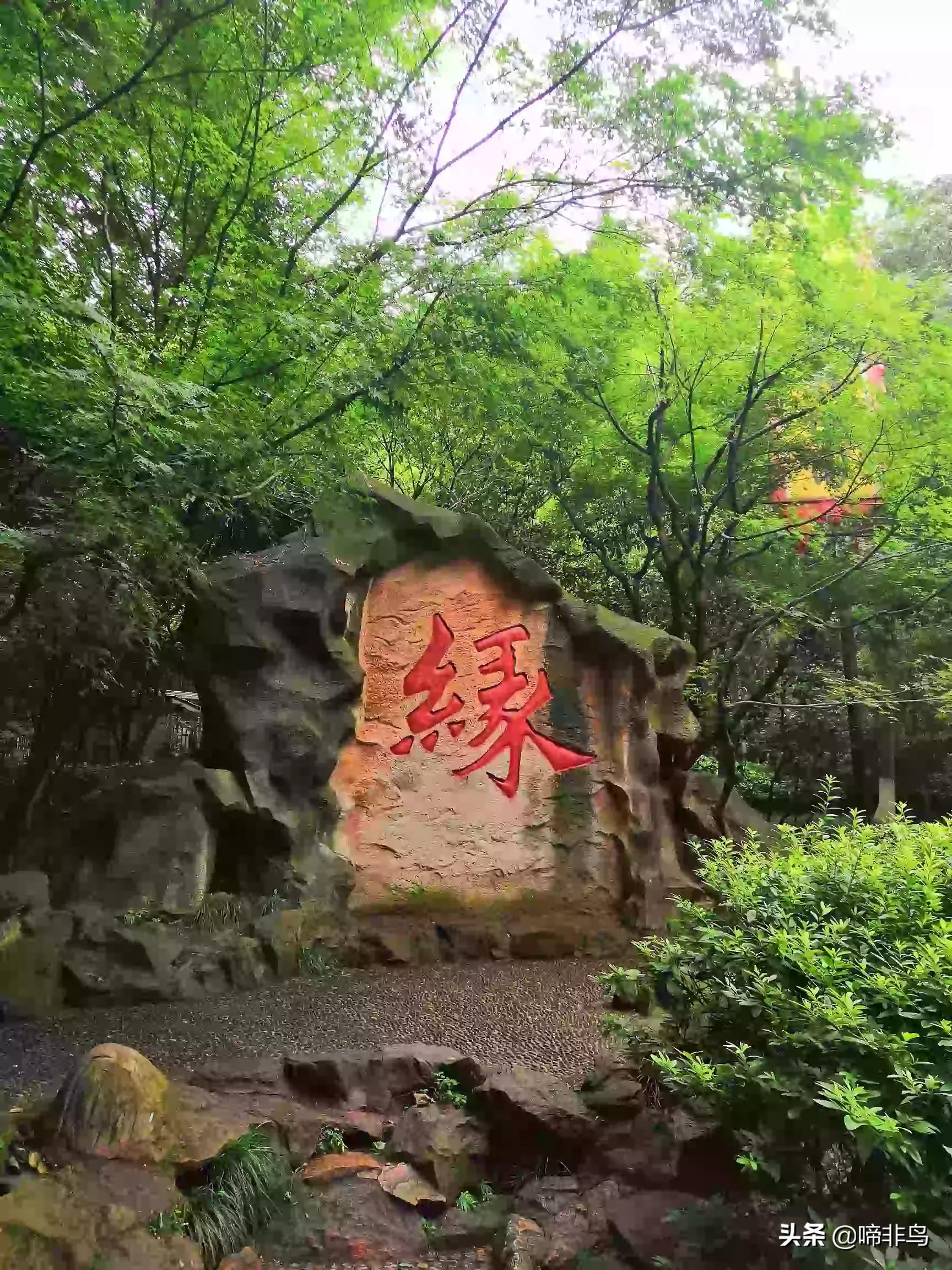 杭州市区有什么好玩的？
