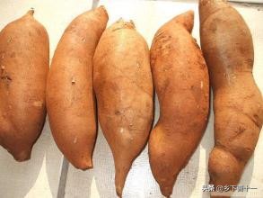 种植牙齿是协和口腔科还是武大口腔医院好？