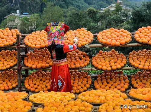 11月桂林市有什么活动