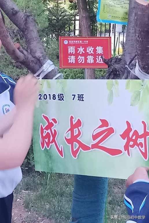 小猫咪学习上课知识，猫咪上课学的是什么