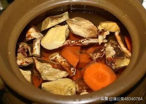 土伏苓的功效与作用是什么？