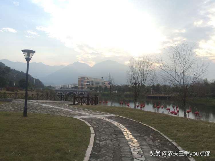 请问报考福州大学,你觉得以后在福州好就业吗? 请问报考福州大学,你觉得以后在福州好就业吗?