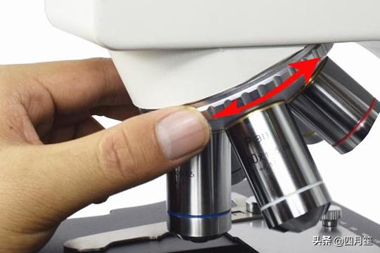 [显微镜如何使用]显微镜的使用操作步骤？