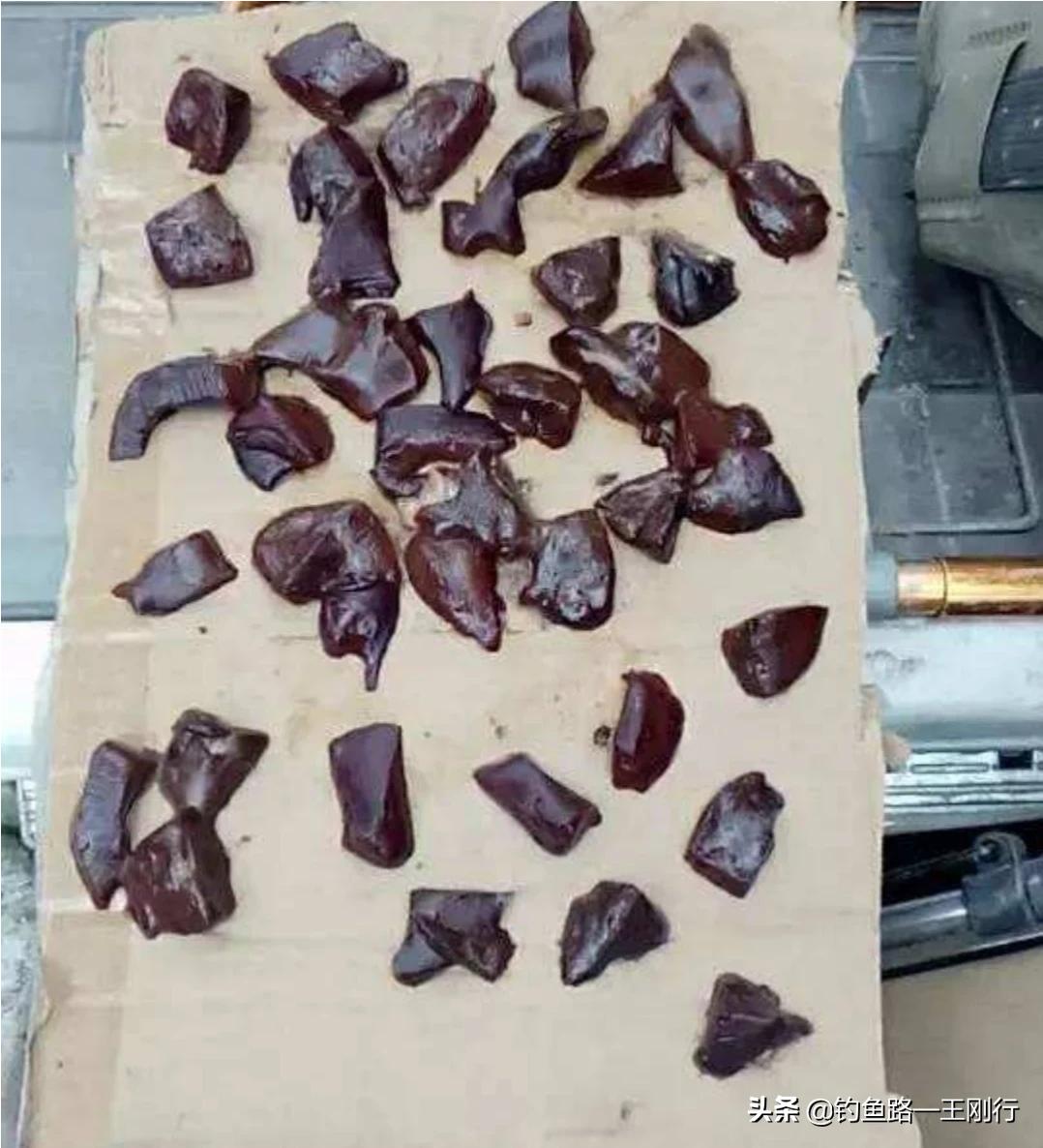 猪肝钓鱼怎么挂钩？
？
