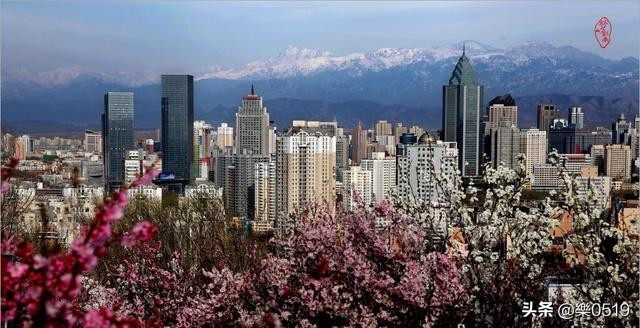 南宁市西部是哪个区