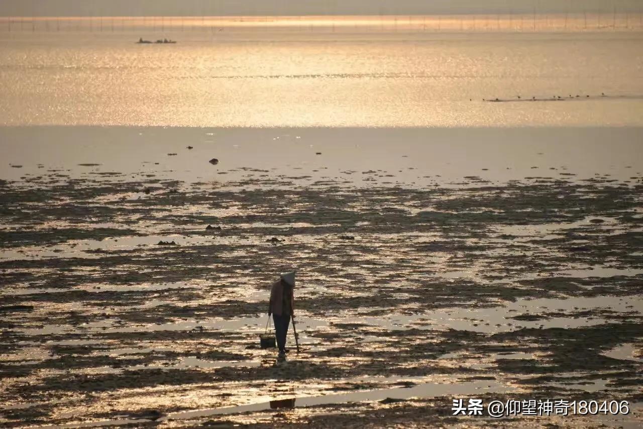 南宁市哪个区宜居