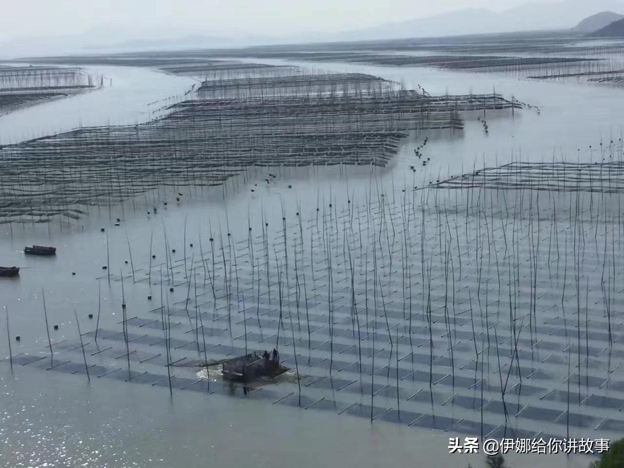 福建哪里人家里最爱干净？