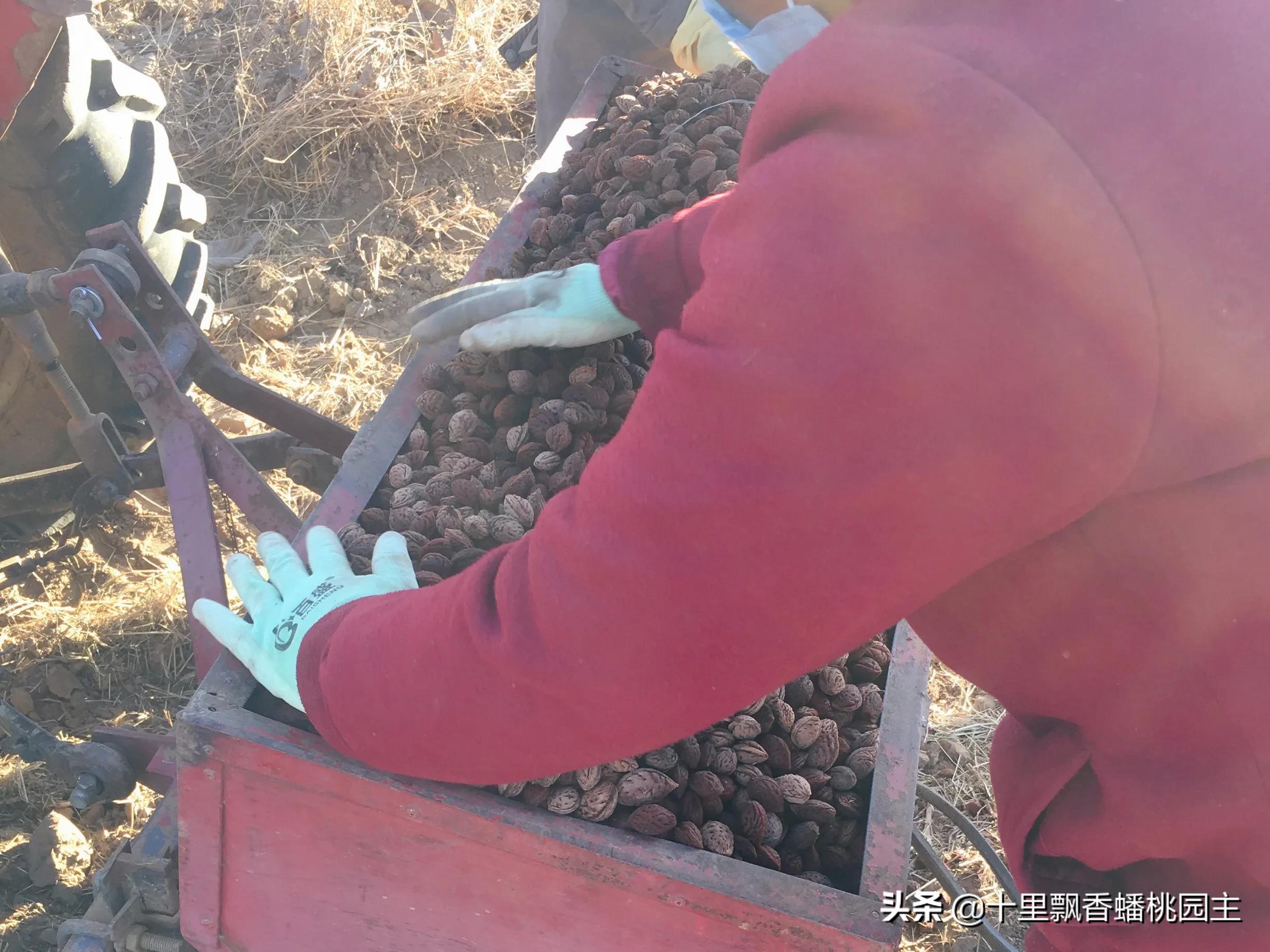 汽车报价前途,汽车报价前途怎么样