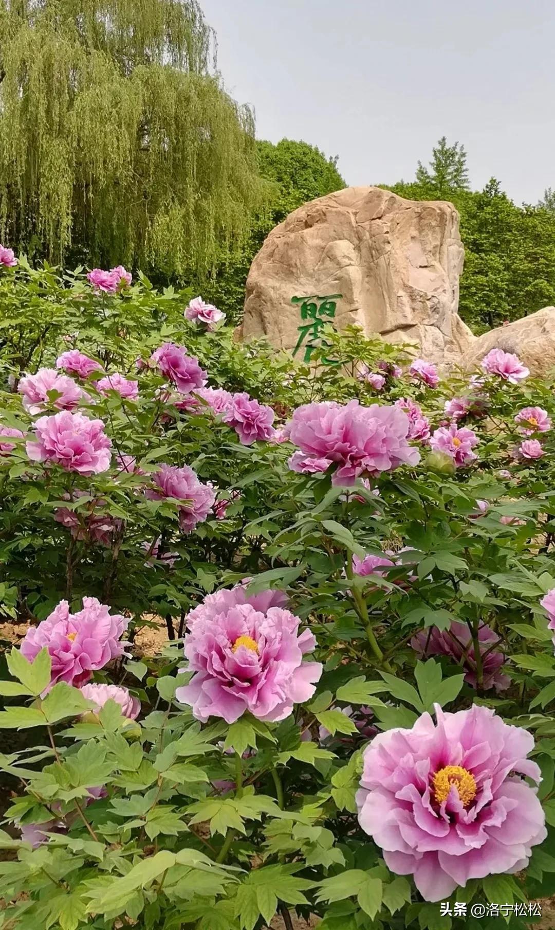 河南工资怎么样啊