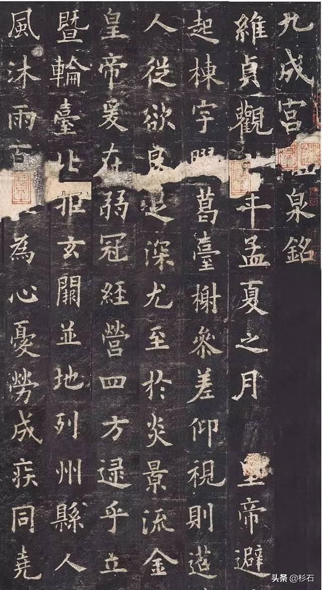 草书练字高手有哪些字体
