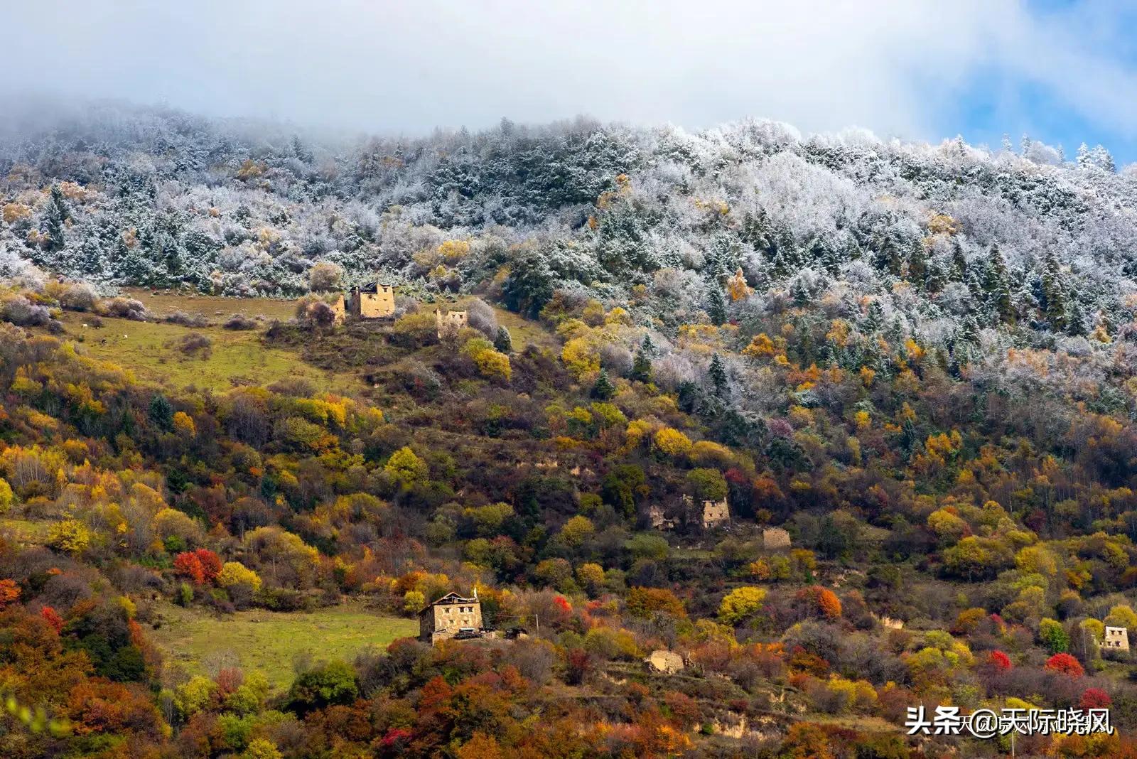 尼康d850（尼康d850深度评测？）