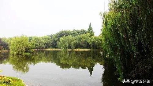 天津荷塘区发展怎么样