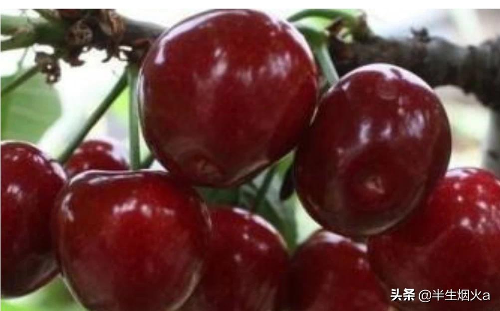 俄罗斯八号汽车品牌介绍,俄罗斯八号汽车品牌介绍图片