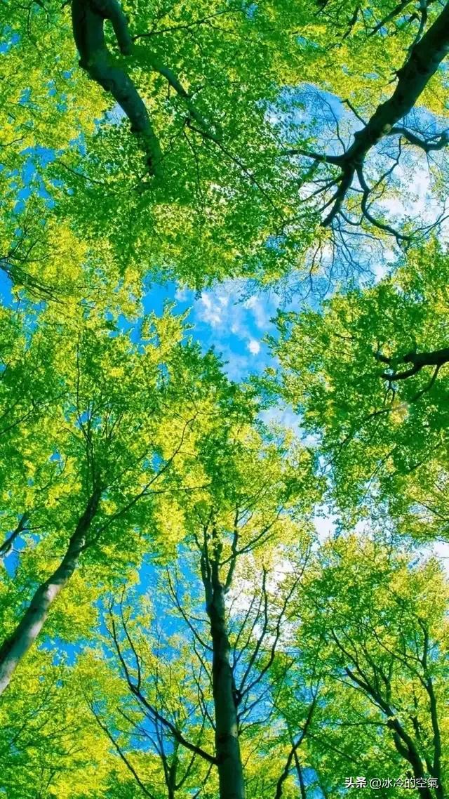 绝望的歌绝望的歌曲有哪些