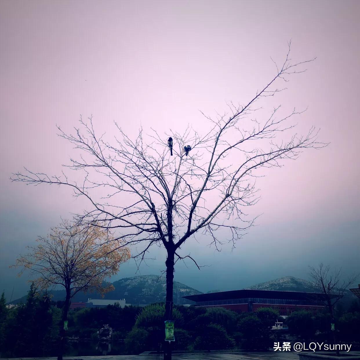 [做图片的软件]做相册哪个软件效果好？