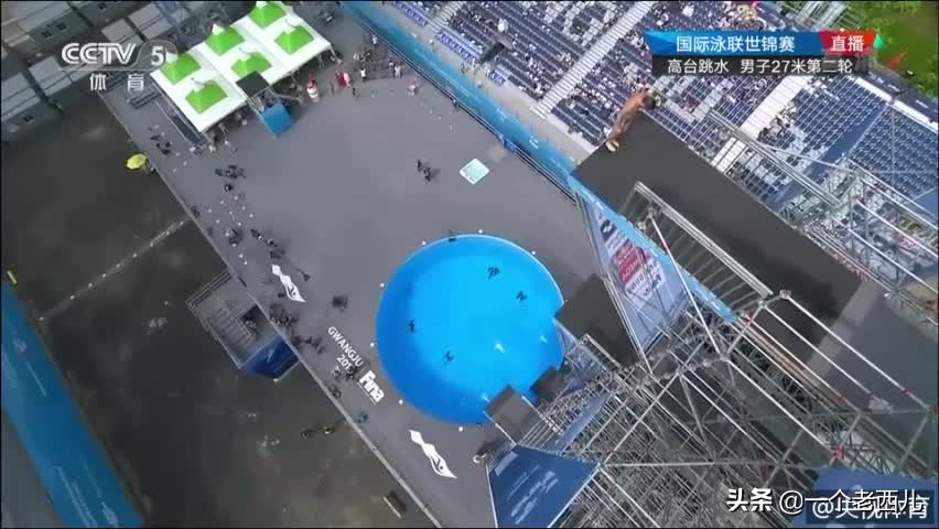 奥运会跳水梦之队相关知识（跳水奥运项目？）