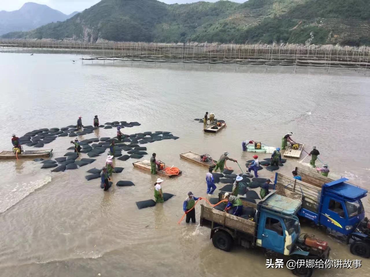 福建哪里人家里最爱干净？