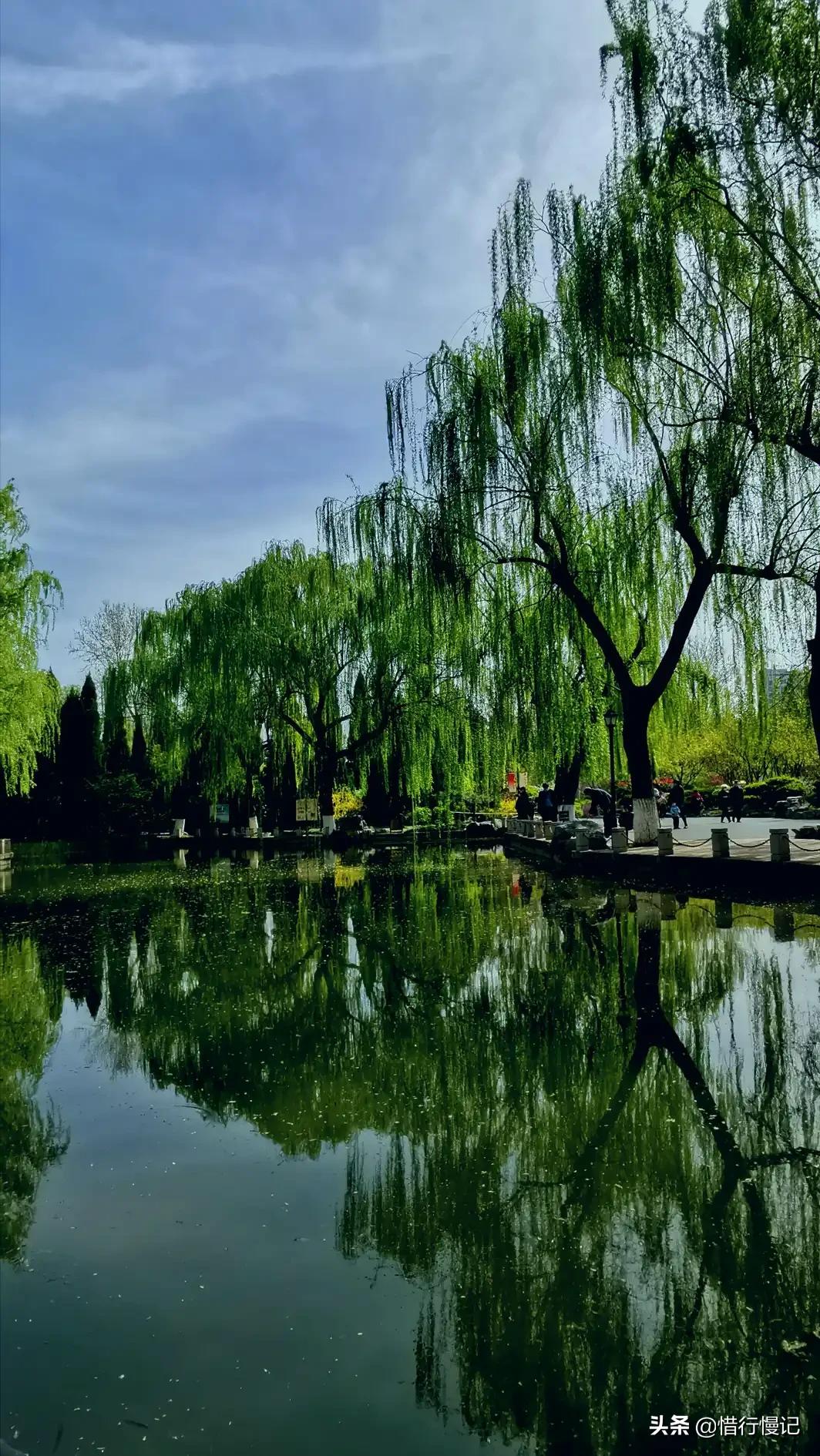 山东人在海外生活，山东人在海外生活怎么样