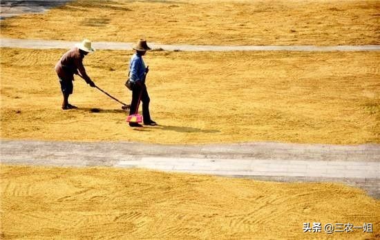 大志汽车报价,大志汽车怎么样