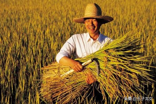 中国有多少人海外生活的，中国有多少人海外生活的人