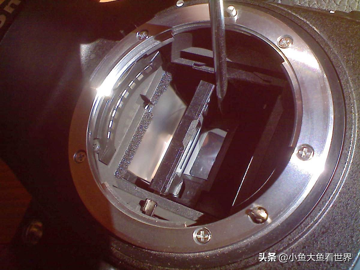 照相机（二手相机主要用来日常拍照和游玩拍照。预算2000左右。最好全画幅，有什么推荐吗？）