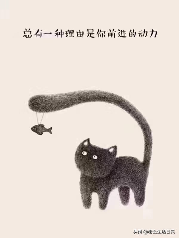 婚庆用品周口，婚庆用品周口专卖店