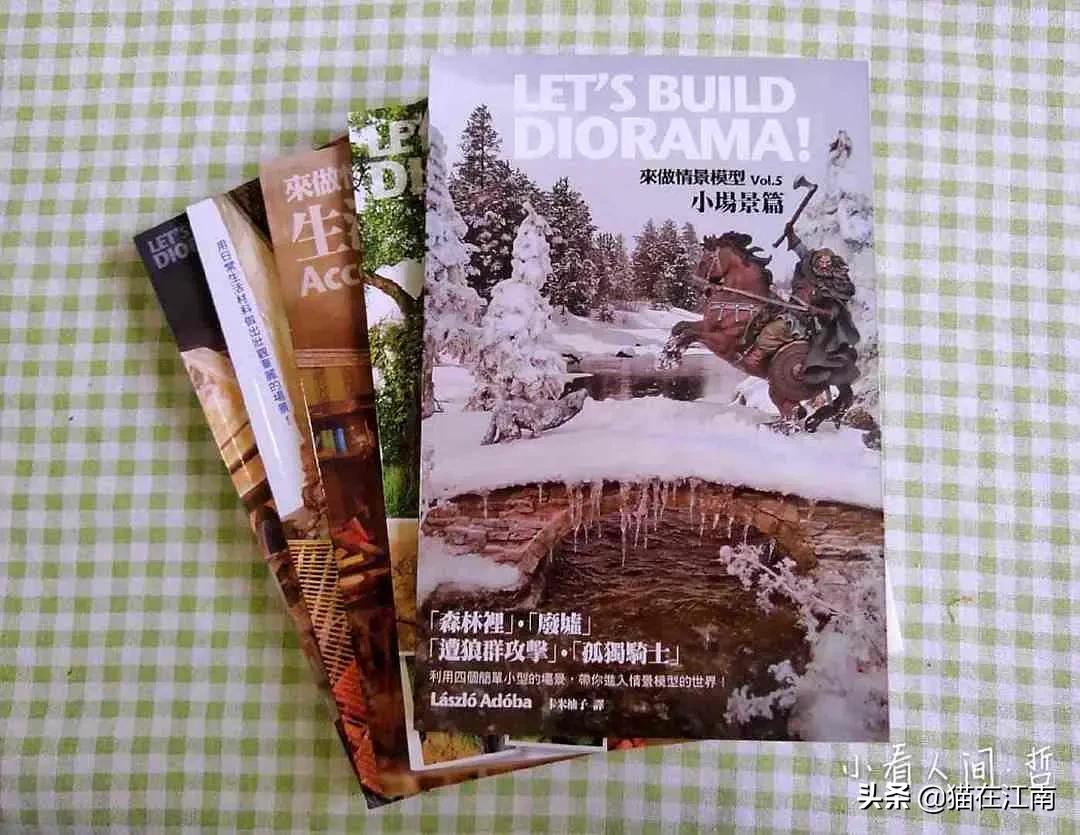 做微缩模型赚500万（微缩模型的绿化怎么做？）