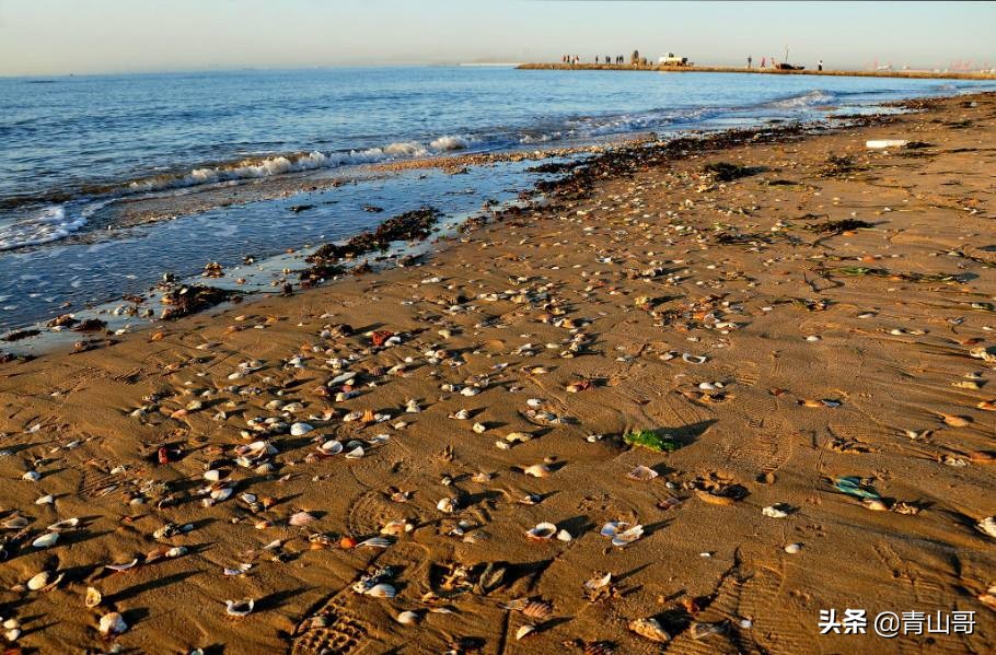 厦门后田渔村文化介绍? 厦门后田渔村文化介绍?