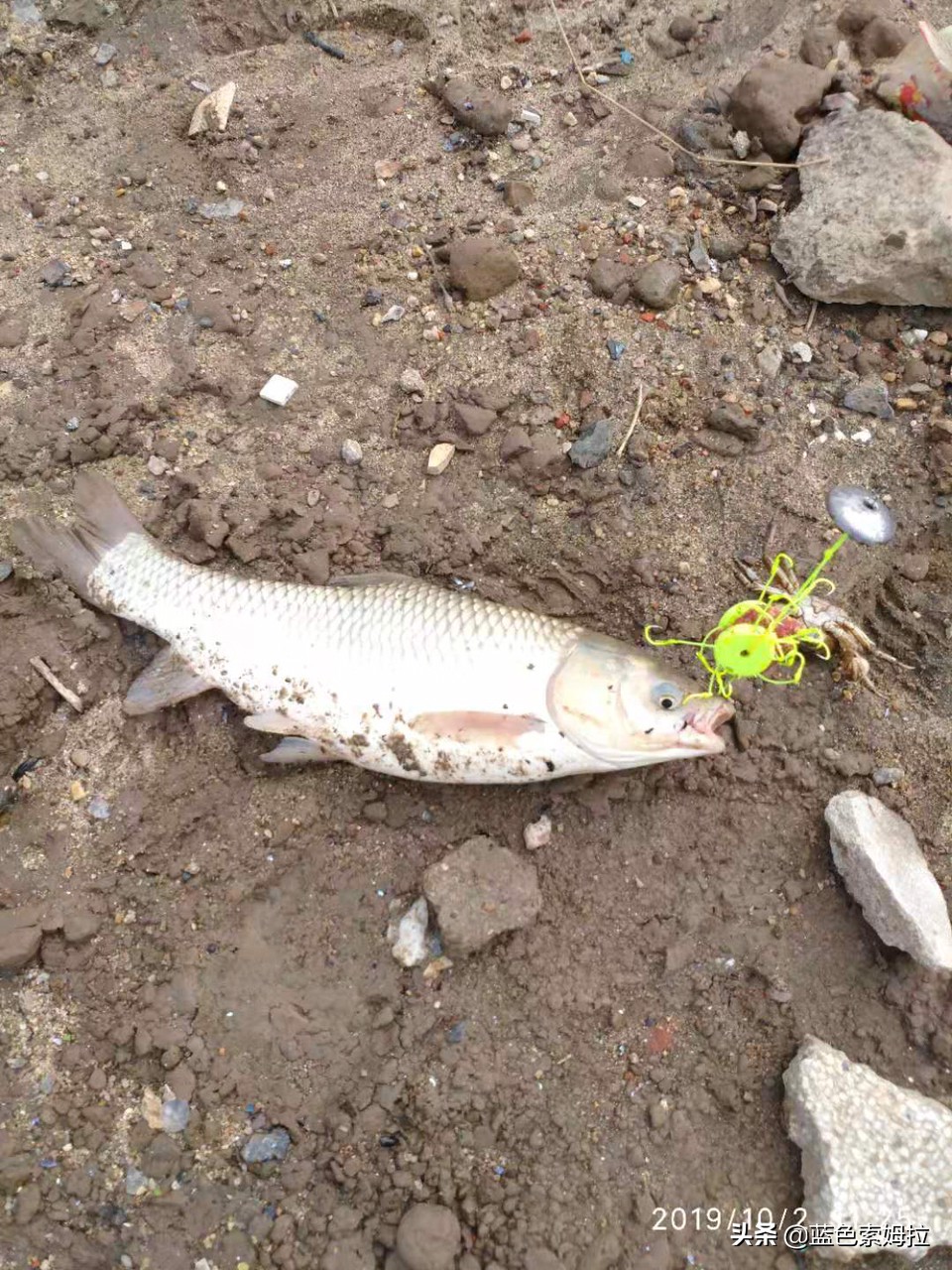 水下摄像机(目前公认最好的水下摄像头?) 水下摄像机(目前公认最好的水下摄像头?)