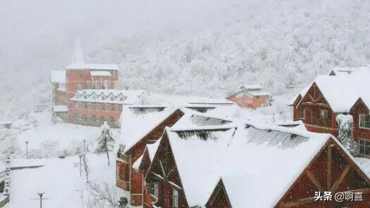 [成都有什么景点]成都八大景点排行榜？