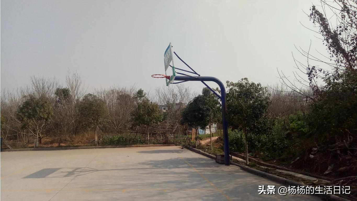 公司设厕所报备群