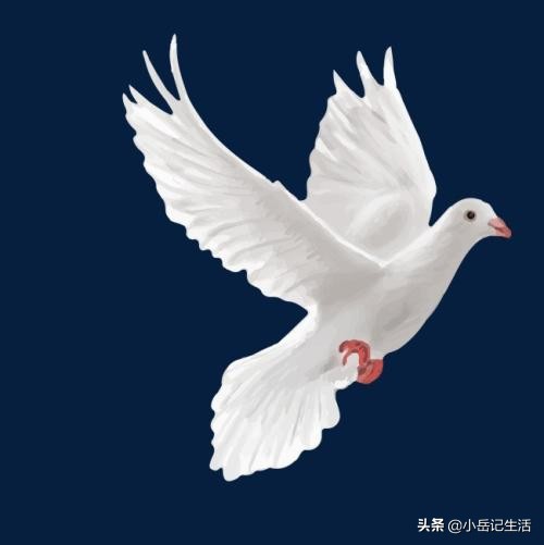 合肥市哪个区工地最多