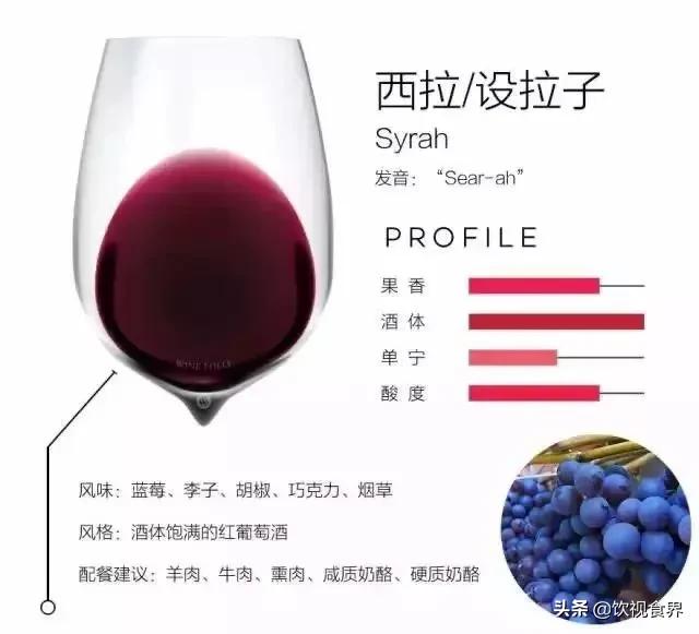 奔富洛神山庄1845是正规的酒吗?:奔富洛神山庄 奔富洛神山庄1845是正规的酒吗?:奔富洛神山庄