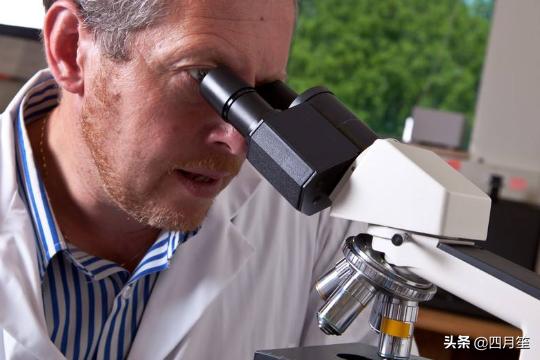 [显微镜如何使用]显微镜的使用操作步骤？