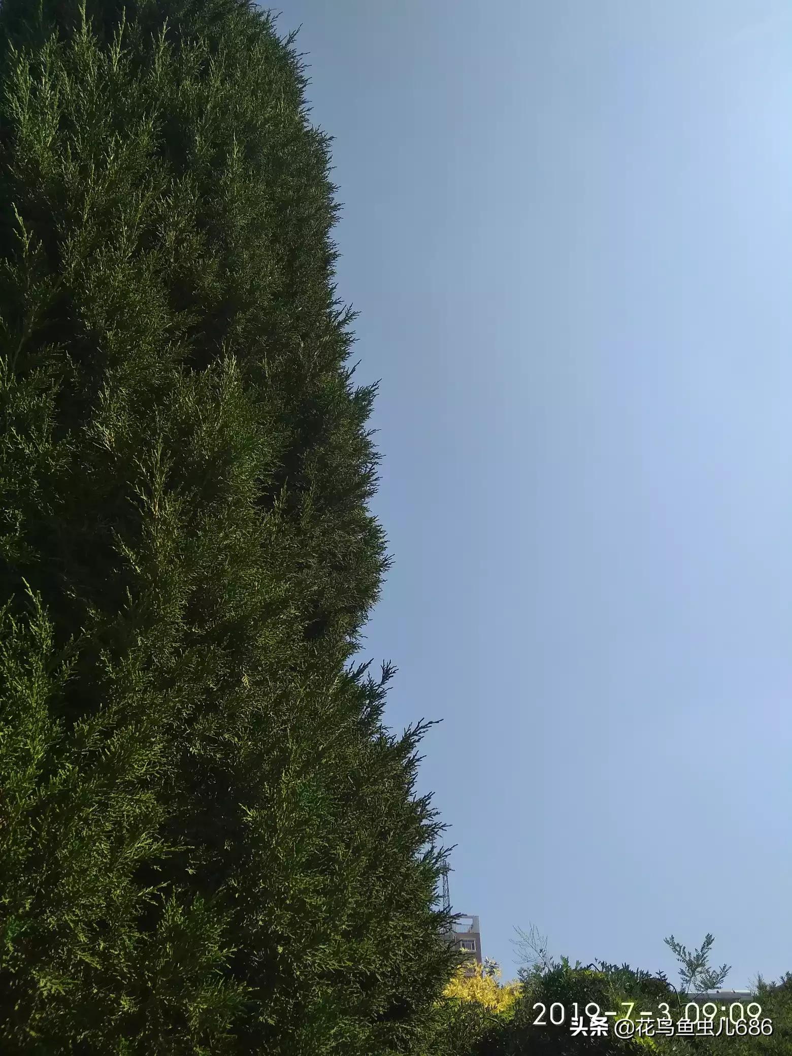 垃圾清理垃圾清理一键清理 垃圾清理垃圾清理一键清理