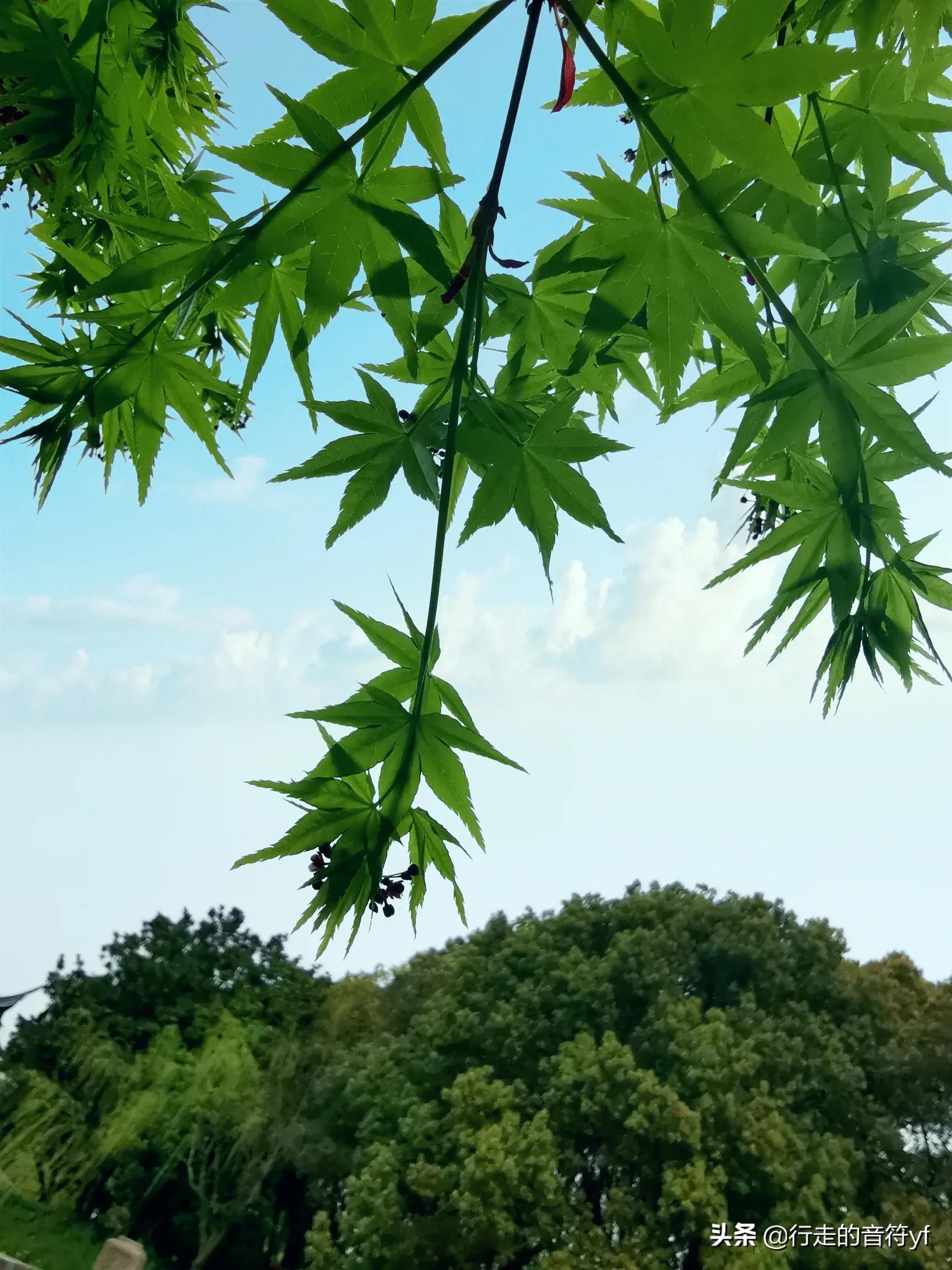 景致汽车报价,景致汽车报价及图片