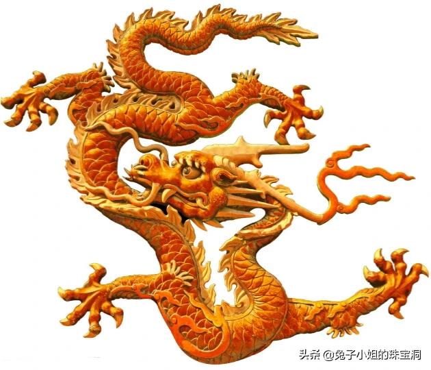大龙的海外生活，大龙的海外生活视频