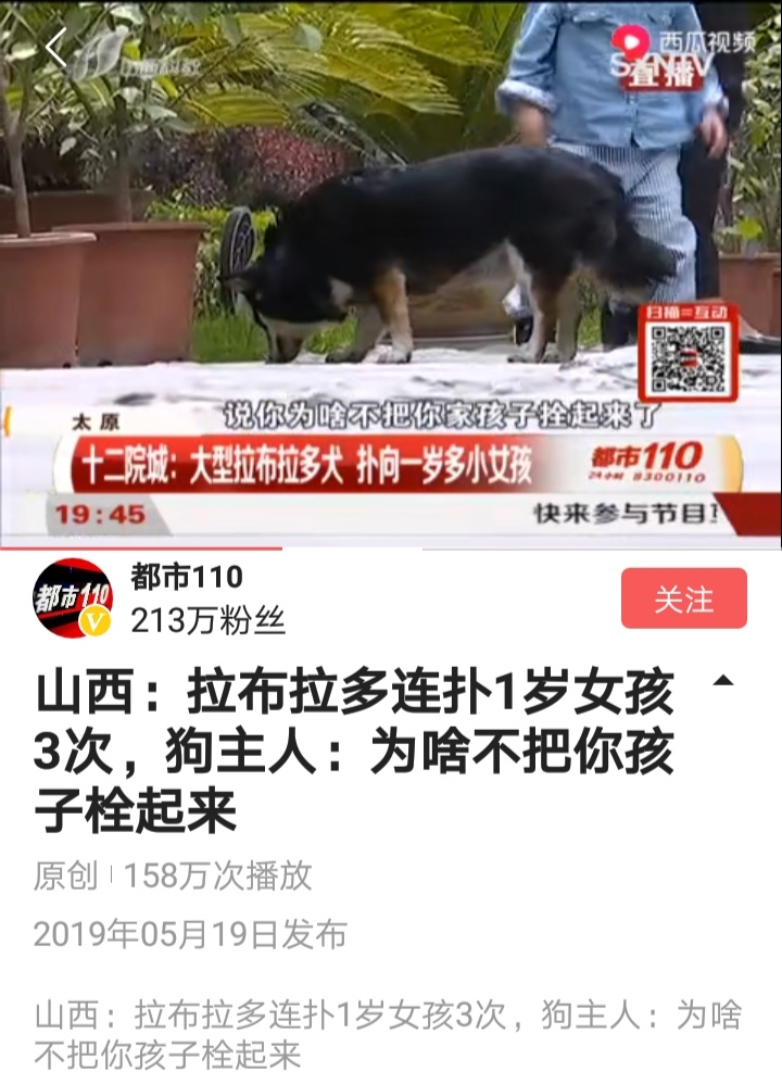 一女童被大型犬咬伤