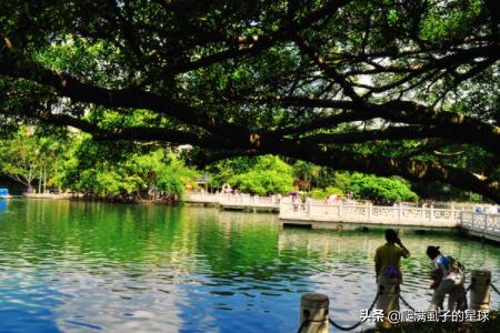 南宁去云南自驾游最佳路线及费用？