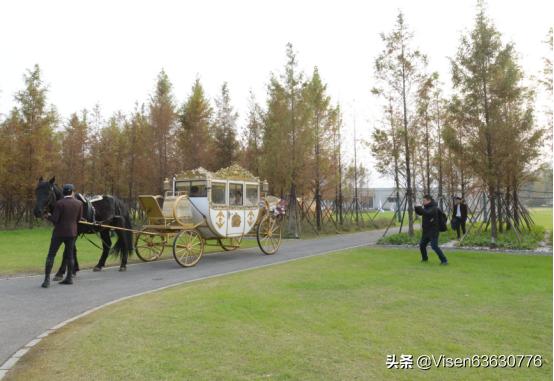 武汉哪里可以租马车，想用在婚礼上？