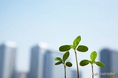 [怎么才能让]怎么才能让自己变的乐观，开朗，没有烦恼？