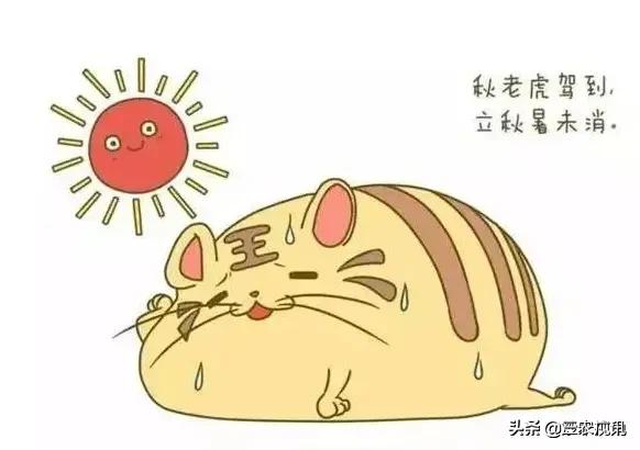 三伏天会更热吗（今夏北方入伏后会更热吗？）