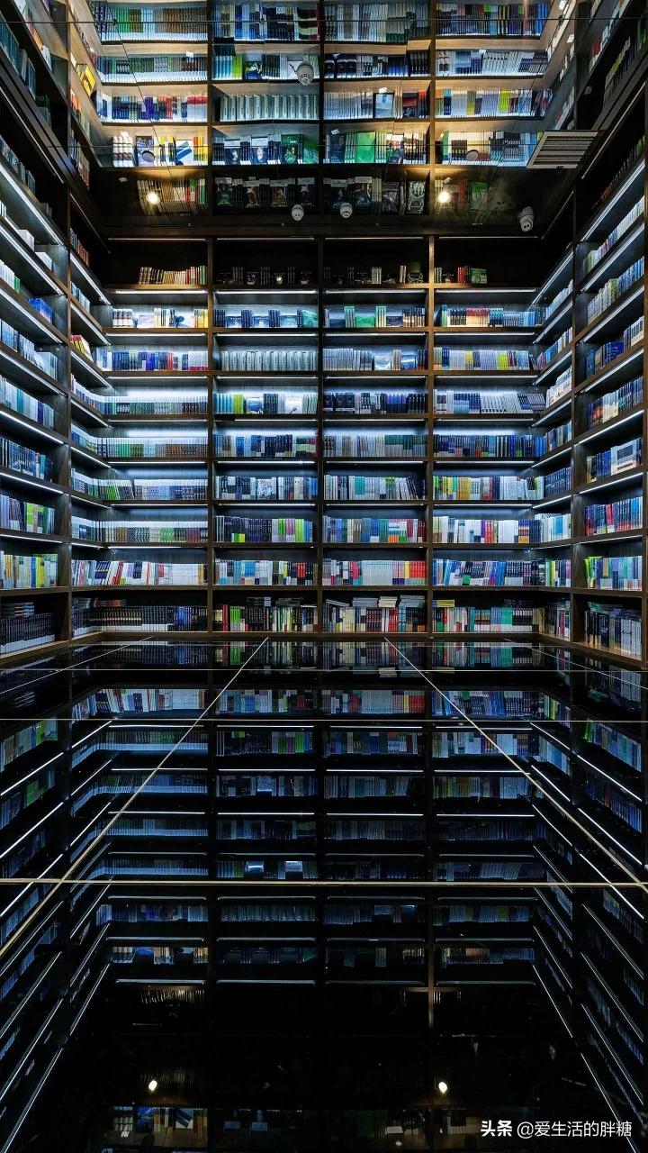 沈阳城市学院怎么样？