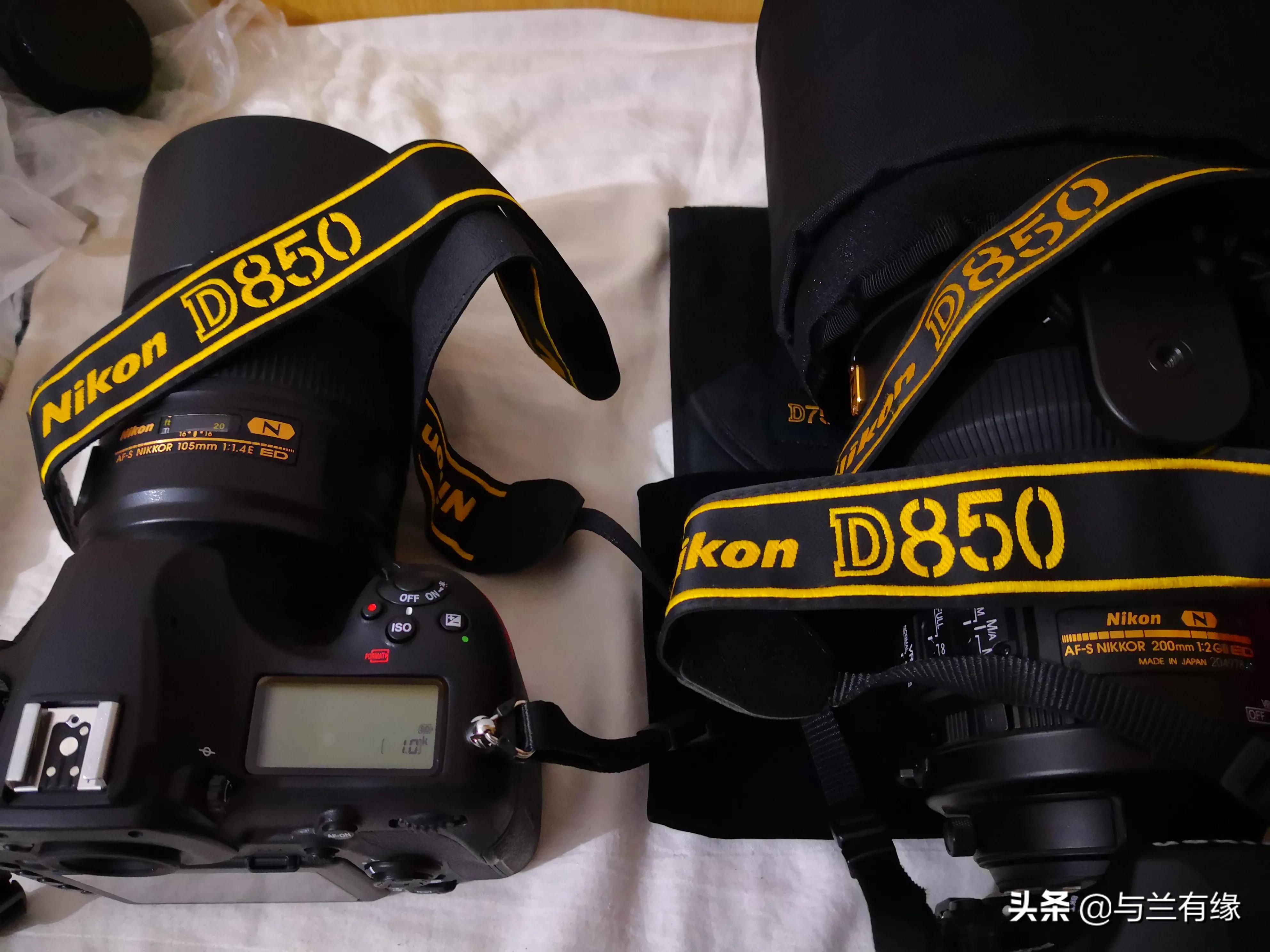 尼康d850(尼康d850深度评测?) 尼康d850(尼康d850深度评测?)