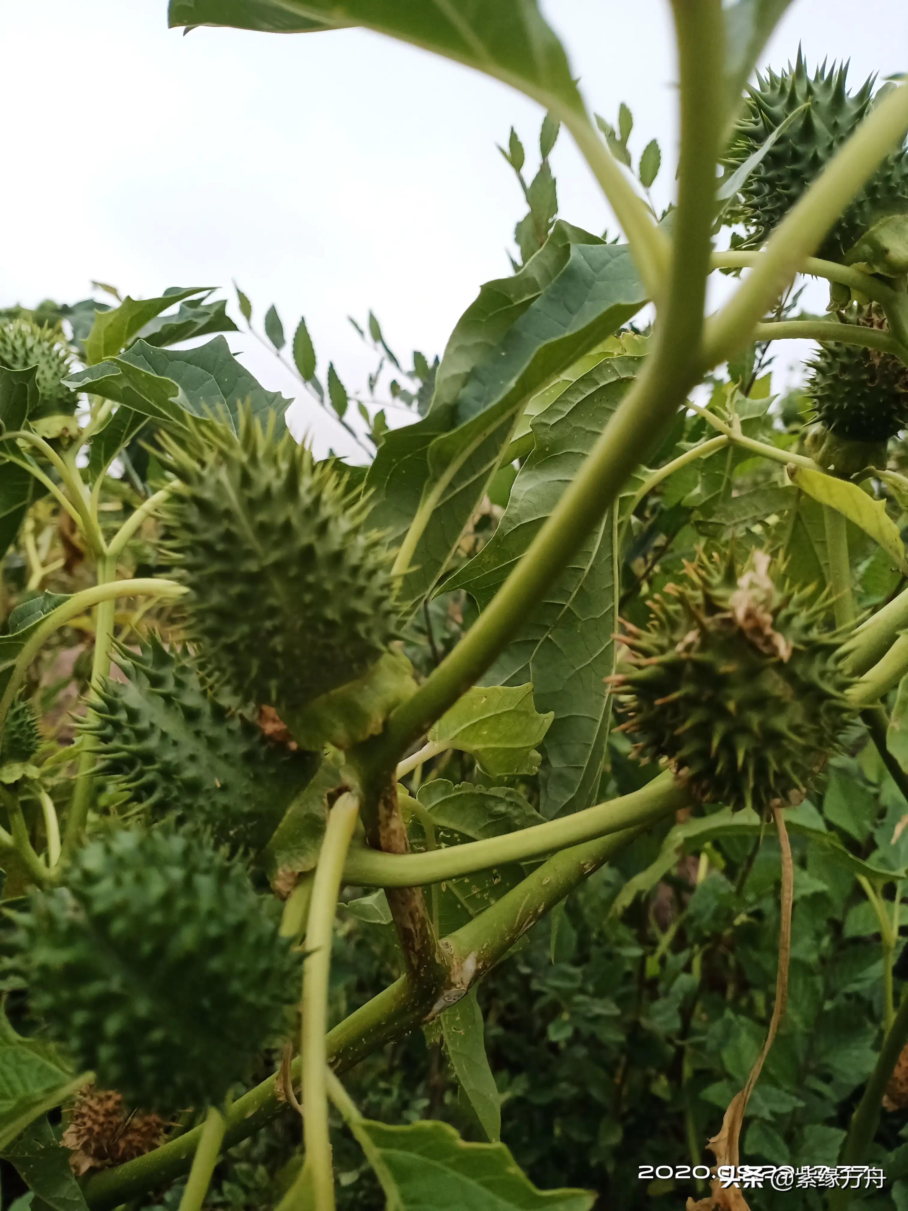 真的很在乎真的很在乎杨坤歌词 真的很在乎真的很在乎杨坤歌词